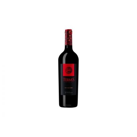 Bodega Numanthia Termes 2019 0,75l